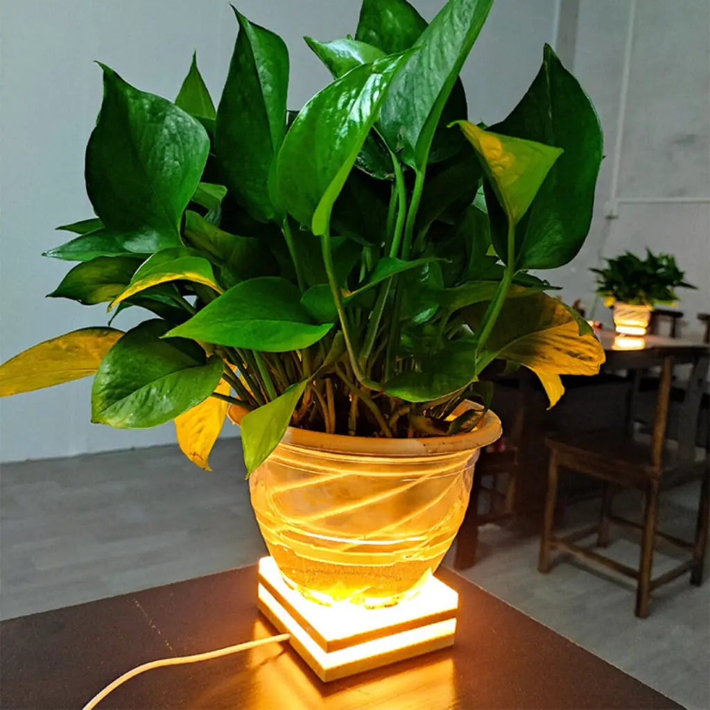 il_1140xN.5057328309_mq7j.webp